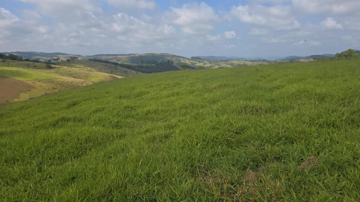Fazenda, Zona Rural, 4 Quartos, 0 Vaga, 1 Suíte