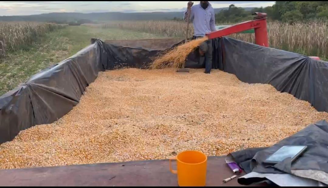 Fazenda, Zona Rural, 3 Quartos, 0 Vaga