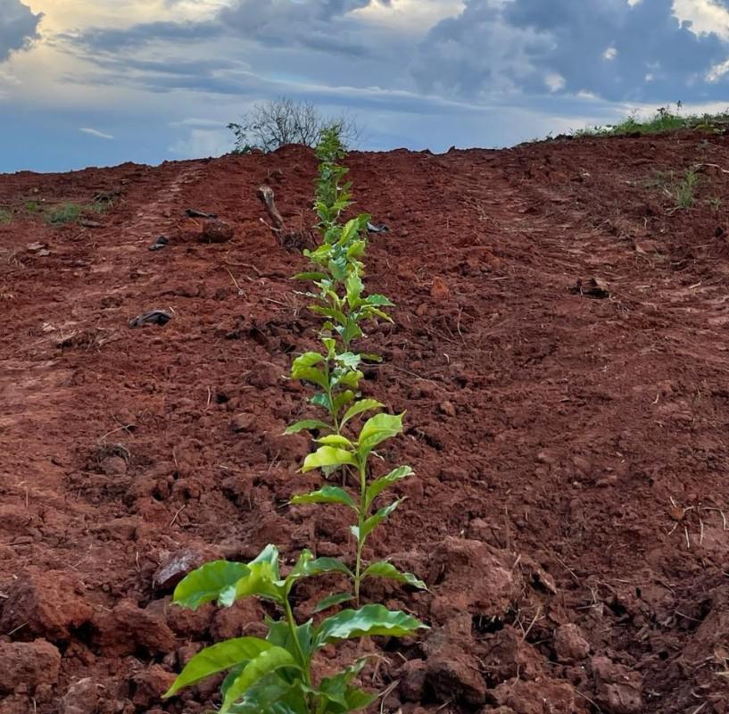 Fazenda, Zona Rural, 0 Quarto, 0 Vaga