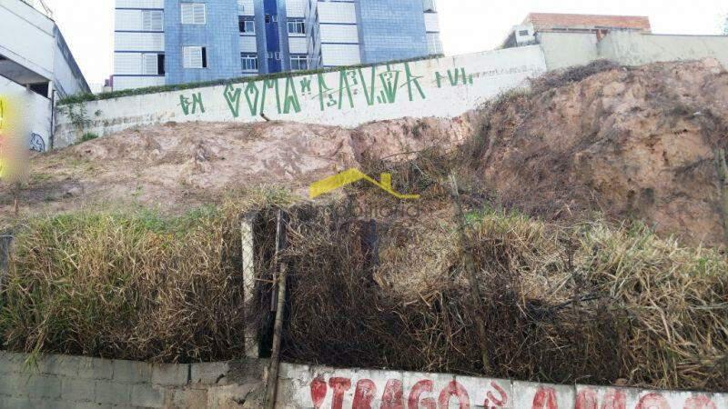 Lote, Buritis