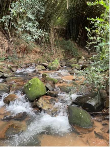 Fazenda, Zona Rural, 5 Quartos, 8 Vagas, 4 Suítes