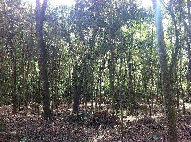 Lote em Condomínio, Condomínio Mãe Terra
