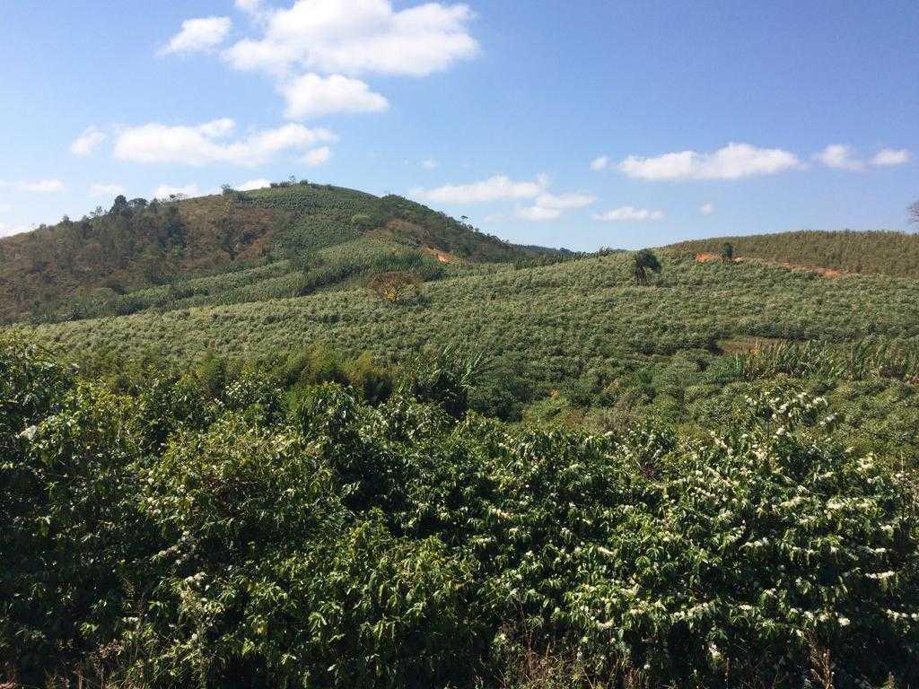 Fazenda, Zona Rural, 4 Quartos, 0 Vaga, 1 Suíte