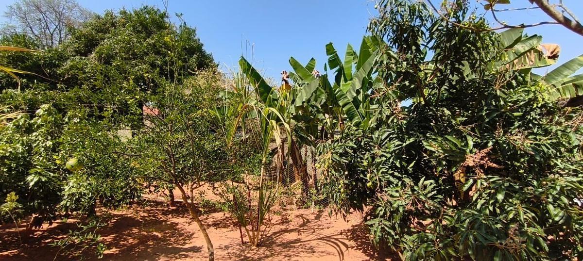 Lote, São Bernardo, 0 Quarto, 0 Vaga