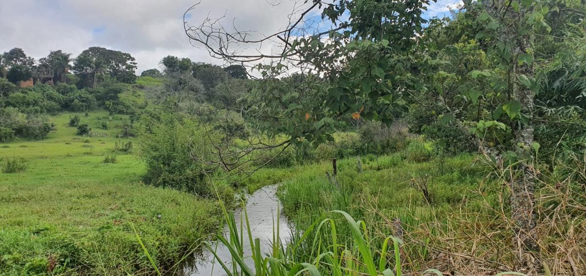 Fazenda, Zona Rural, 3 Quartos, 1 Vaga, 1 Suíte