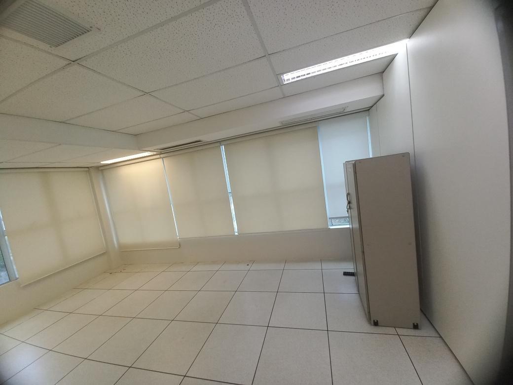Sala, Savassi, 0 Quarto, 2 Vagas