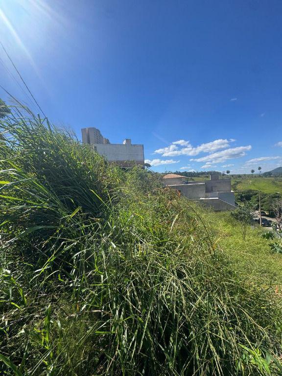 Lote, Novo Horizonte, 0 Quarto, 0 Vaga