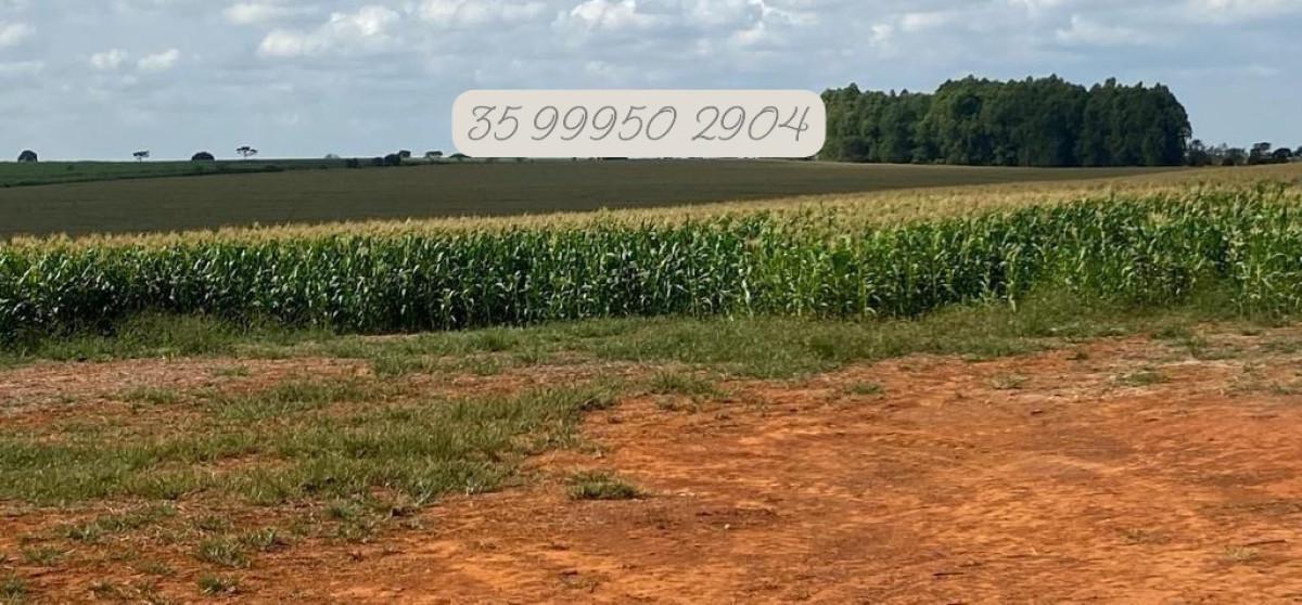 Fazenda, Zona Rural, 0 Quarto, 0 Vaga