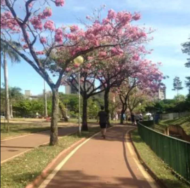Apartamento, Cruzeiro, 3 Quartos, 1 Vaga, 1 Suíte