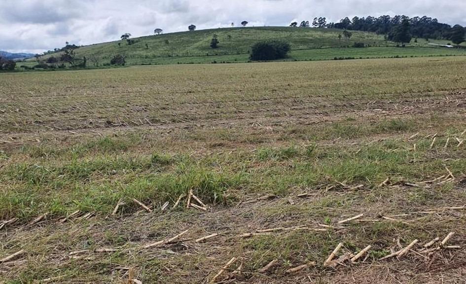 Fazenda, Zona Rural, 6 Quartos, 0 Vaga, 2 Suítes
