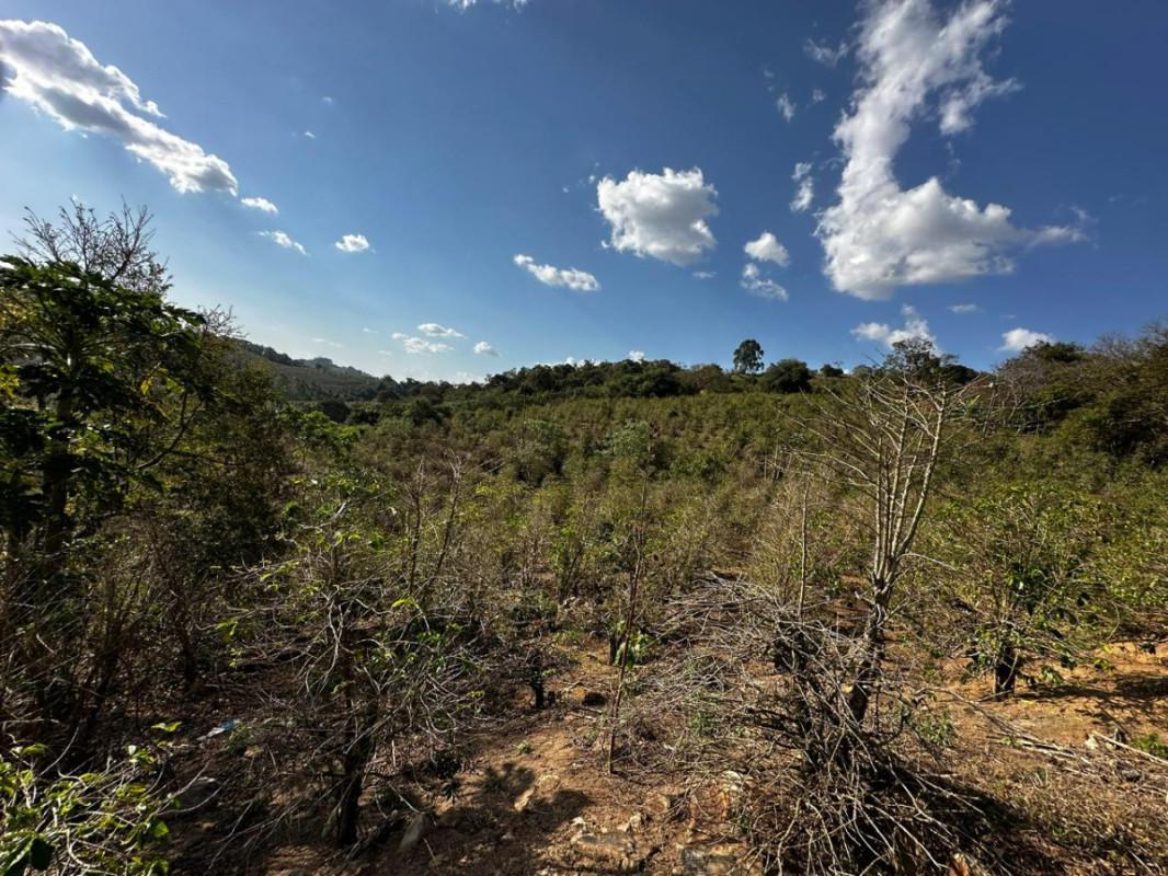 Fazenda, Centro, 0 Quarto, 0 Vaga