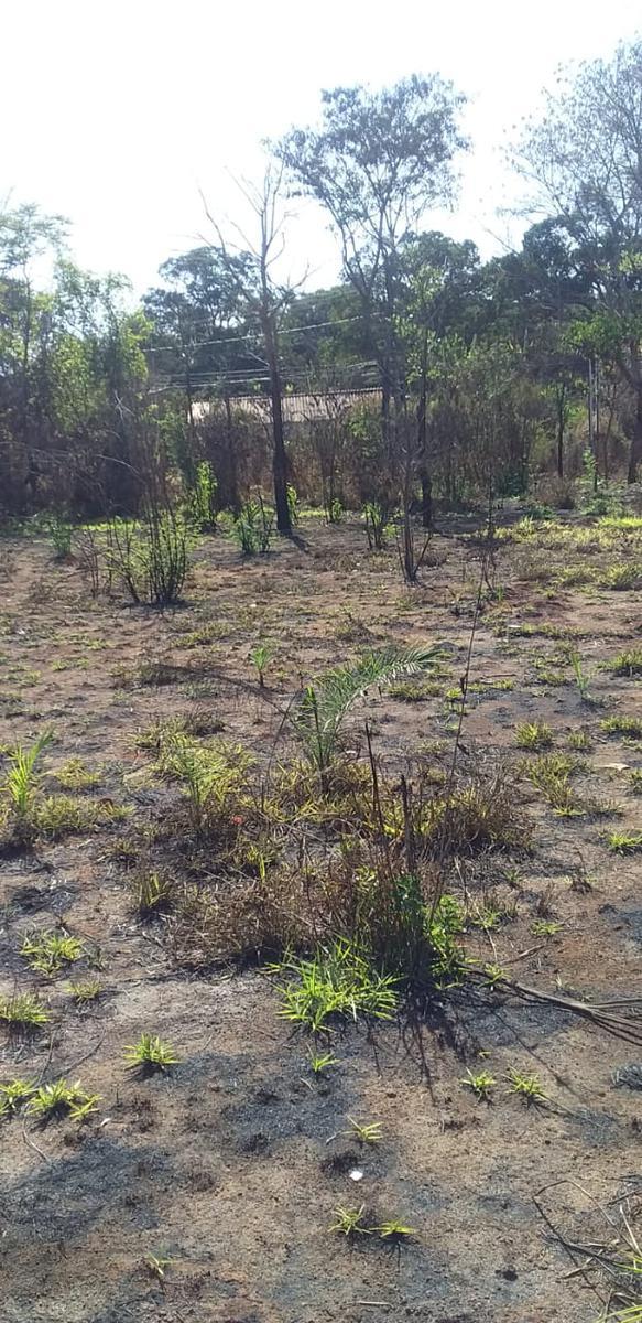 Lote, Campinho, 0 Quarto, 0 Vaga