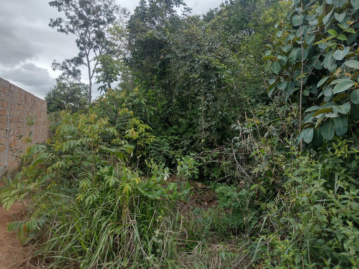 Lote, Tupã, 0 Quarto, 0 Vaga