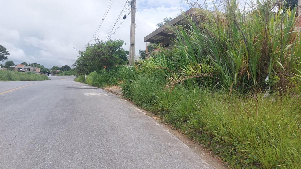 Lote, Liberdade, 0 Quarto, 0 Vaga