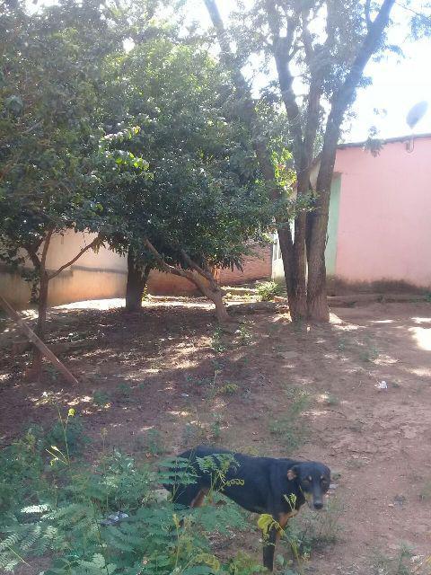Lote, Tancredo Neves (justinópolis), 0 Quarto, 0 Vaga