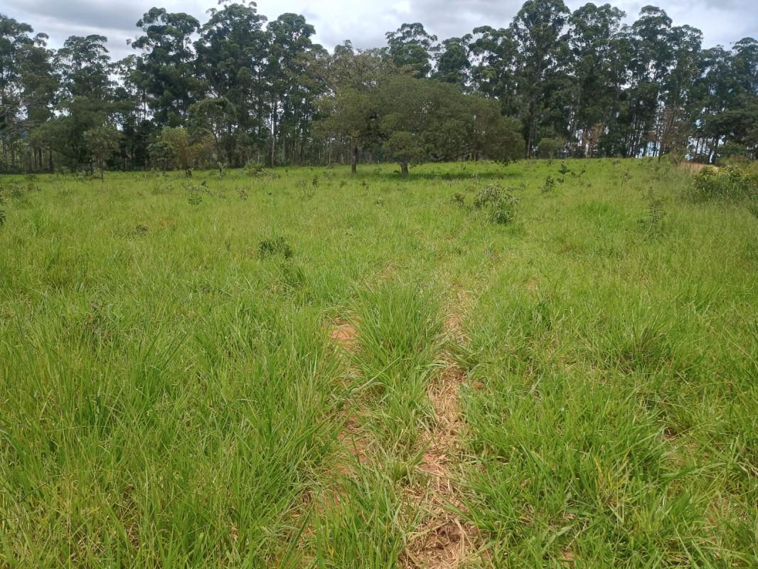 Fazenda, Zona Rural, 0 Quarto, 0 Vaga