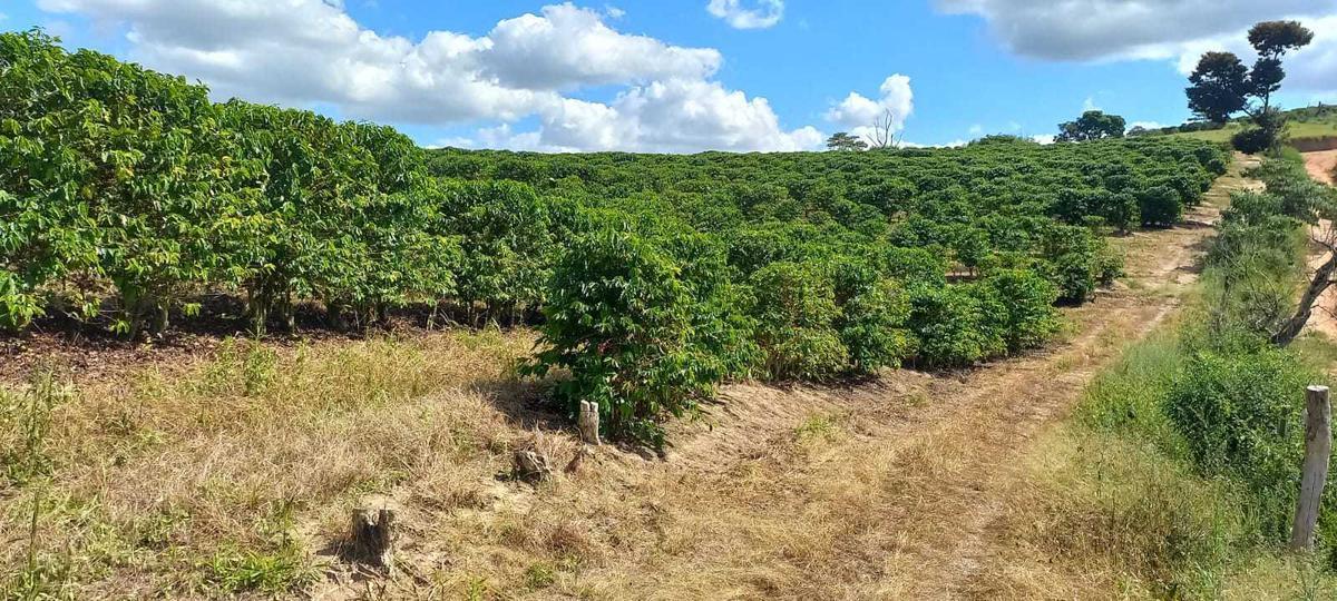Fazenda, Zona Rural, 4 Quartos, 0 Vaga