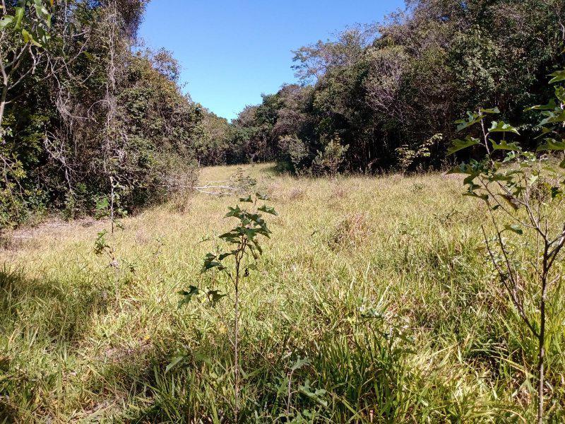 Lote, Centro, 0 Quarto, 0 Vaga