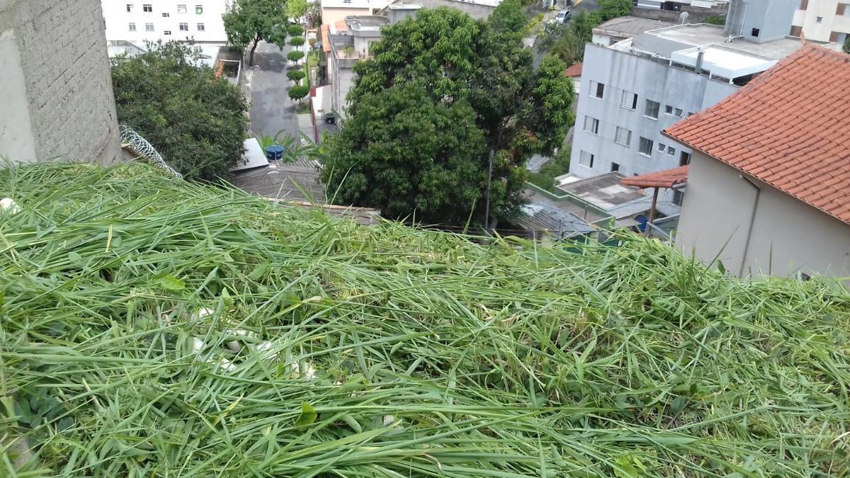 Lote, Nova Floresta, 0 Quarto, 0 Vaga